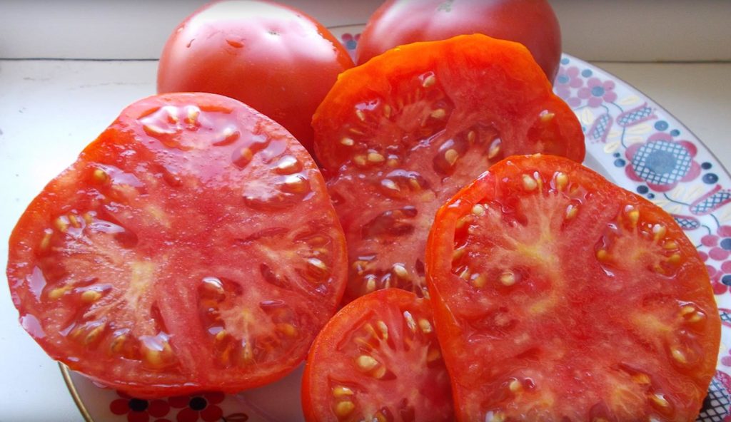 Сочные помидоры Подснежник