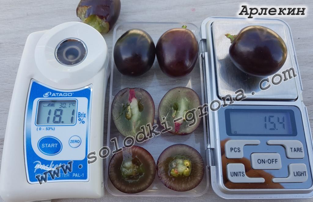 Измерение массы и сахаронакопления ягод винограда Арлекин