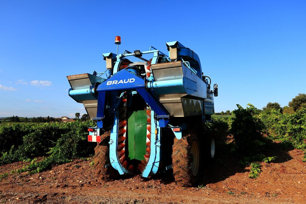 В промышленном виноградарстве для технических сортов винограда используют формировку удобную для механизированной обработки и сбора урожая.