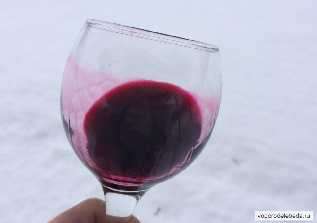 Бокал домашнего вина на фоне снега.
