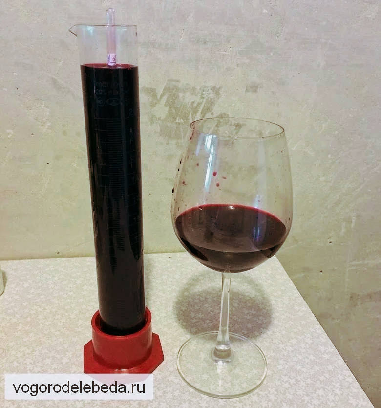 Замер плотности домашнего вина ареометром.